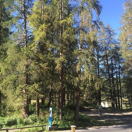 Chesa Muragls Pontresina Zewnętrze zdjęcie